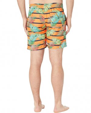 Шорты для плавания U.S. POLO ASSN. Color Leaf Swim Shorts, цвет Orangina