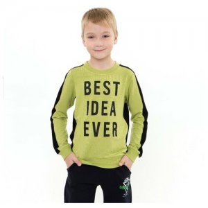 Свитшот для мальчика, цвет салатовый, рост 152 см Мануфактурная лавка. Цвет: зеленый