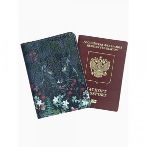 Обложка для паспорта , зеленый, красный Curanni. Цвет: черный