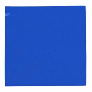 Платок ,53х53 см, синий WHY NOT BRAND. Цвет: синий