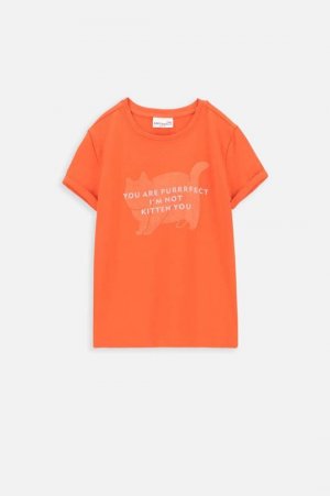 Детская футболка , оранжевый Coccodrillo