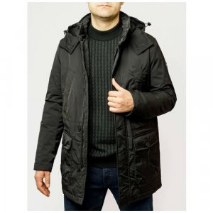Парка, мужская, демисезон/зима, внутренний карман, капюшон, размер 52, черный Pierre Cardin. Цвет: черный