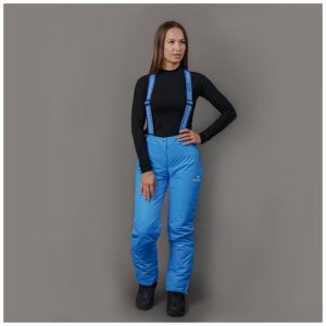Утепленные брюки Premium Blue W женские, XS Nordski. Цвет: голубой